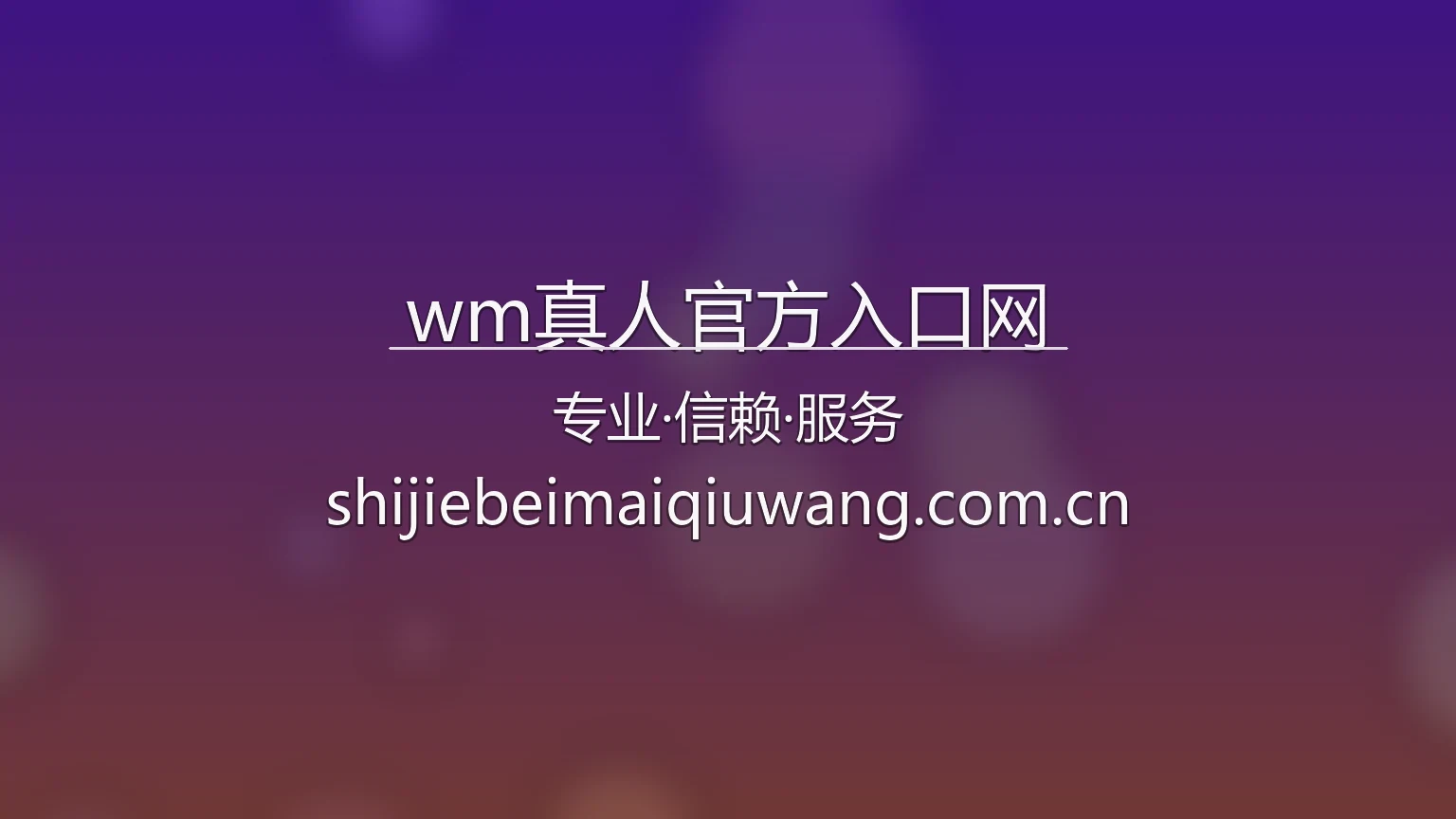 wm真人官方入口网 品牌视觉展示