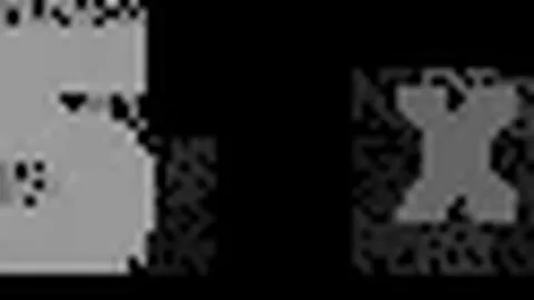 中国男足2025年：从谷底反弹至黎明曙光